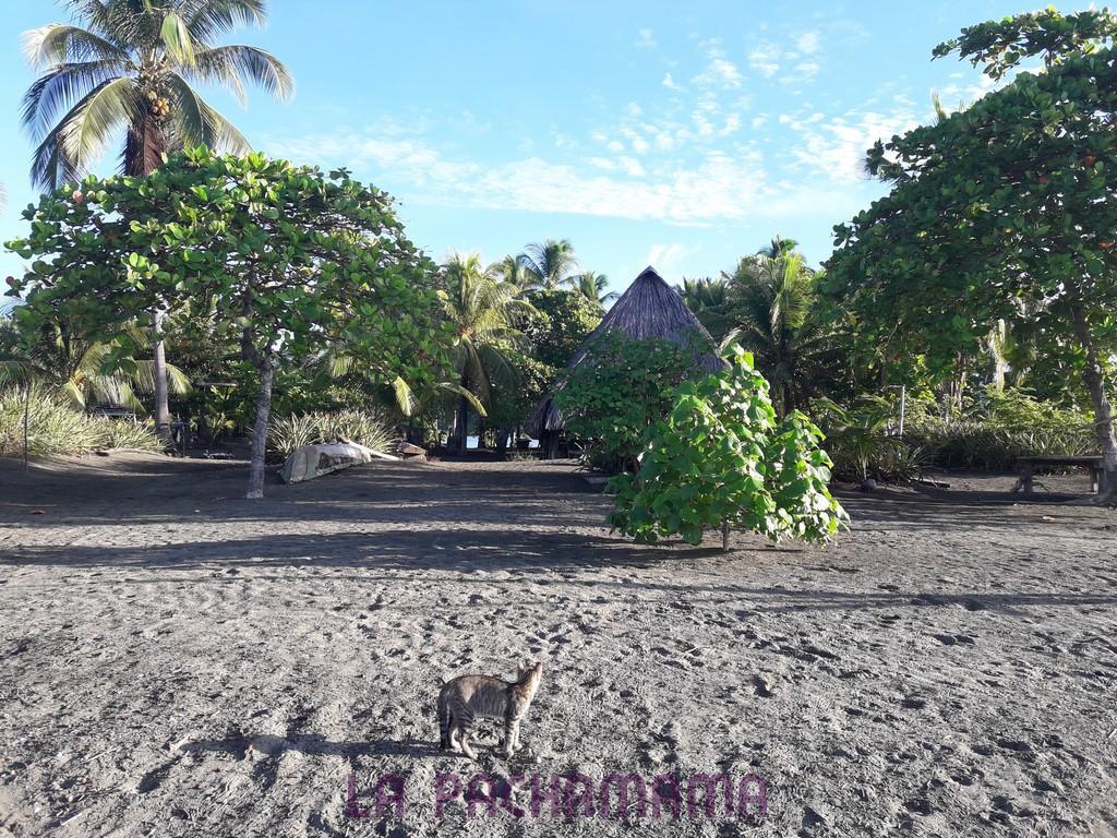 Hostal Pachamama Isla de Canas Exterior foto