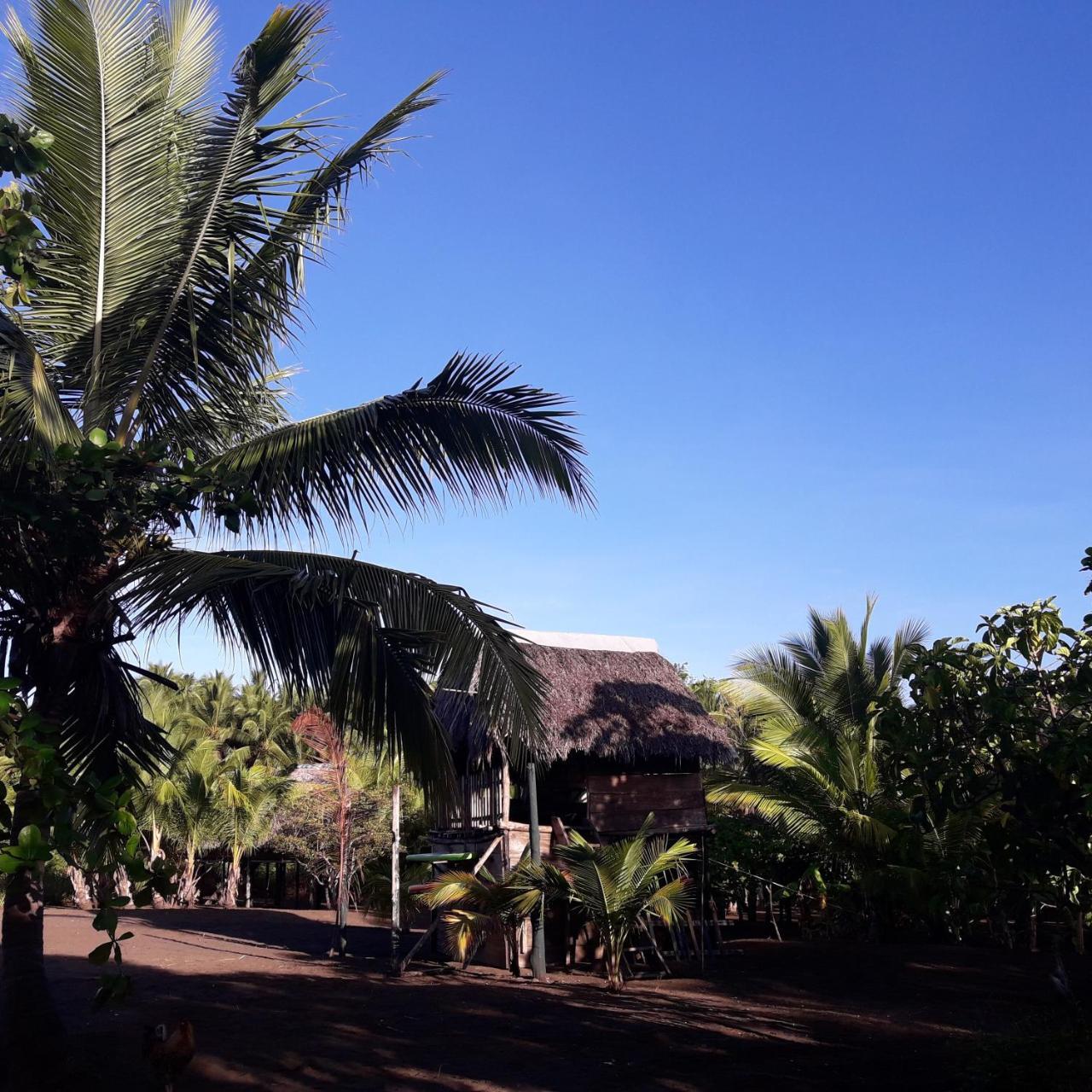 Hostal Pachamama Isla de Canas Exterior foto